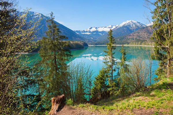 Schöner Türkisfarbener Stausee Sylvenstein Grüne Bäume Ufer Oberbayern — Stockfoto