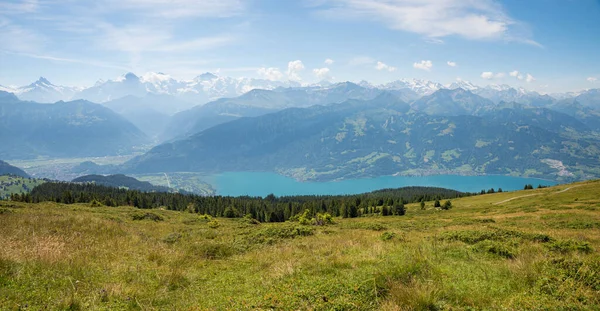 Vigia Trilha Caminhadas Montanha Niederhorn Para Lago Thunersee Bernese Oberland — Fotografia de Stock