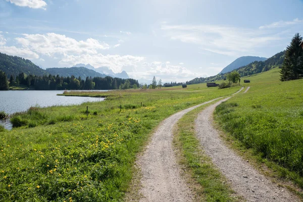 Wanderweg Entlang Des Geroldsees Oberbayern Frühling Wiese Mit Trolliusblumen — Stockfoto