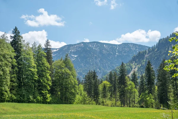 Góry Blauberge Wiosenny Krajobraz Górna Bawaria Słoneczny Dzień Maju — Zdjęcie stockowe