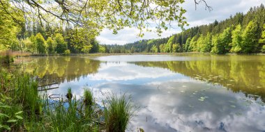 Moor Gölü manzaralı Thanninger Weiher, baharda parlak güneşli bir gün, su yansıması ile. üst bavyera