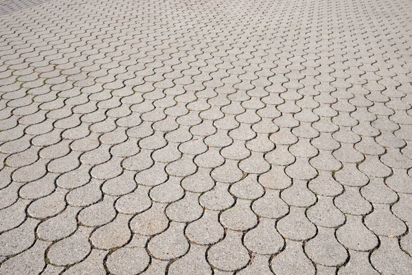 Fish Scale Pavement Background Outdoors — Stock Photo, Image