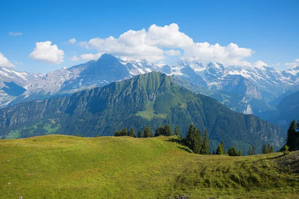 Mannlichen Dağı manzaralı alp manzarası, İsviçre Oberland