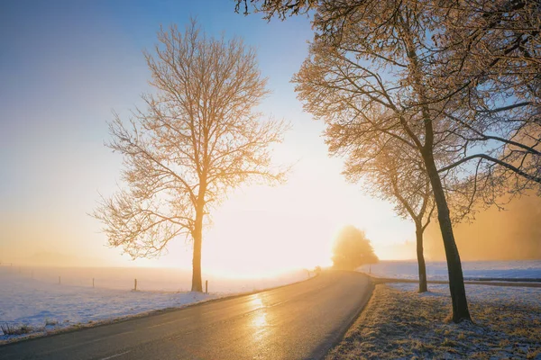 Land Väg Vinterlandskapet Glänsande Gyllene Morgon Landskap Träd Med Hesparfrost — Stockfoto