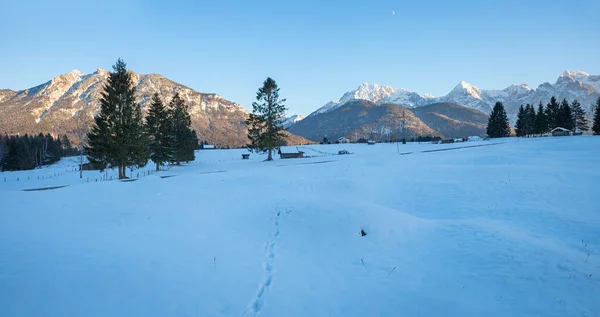 Snöig Vinter Landskap Buckelwiesen Med Utsikt Över Karwendel Berg Övre — Stockfoto
