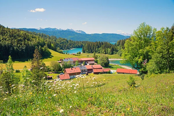 Paisaje Bavariano Pictórico Vista Pueblo Sachenbach Lago Walchensee Prado Marguerite — Foto de Stock