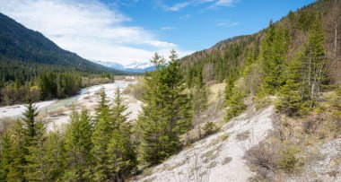 Nehir bölgesi Isar nehri, baharda Yukarı Bavyera 'da vahşi doğa.
