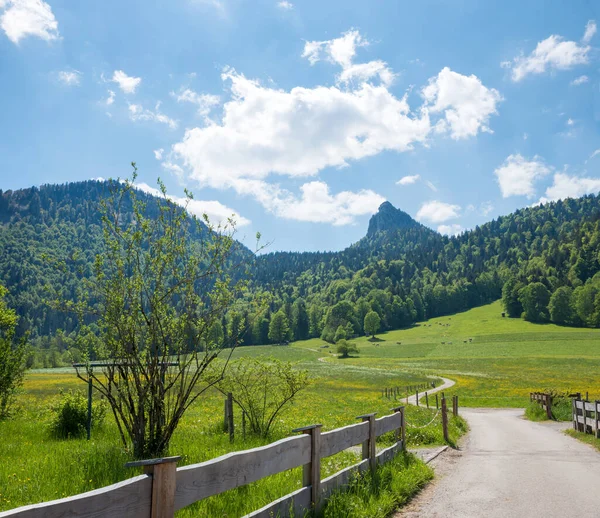 去Leonhardstein山的远足小径 靠近Kreuth Upper Bavaria的田园诗般的春天风景 — 图库照片