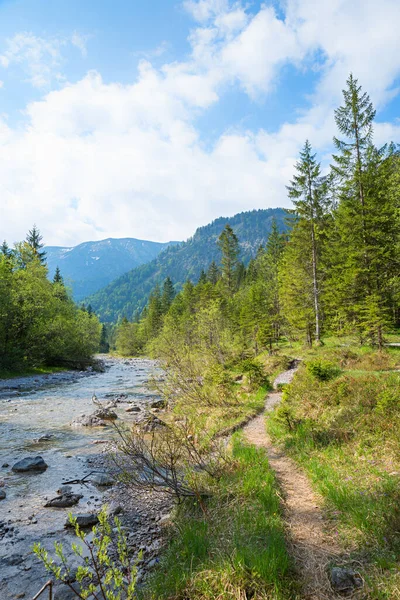 Footpath Weissach River Spring Landscape Kreuth Upper Bavaria — Stockfoto