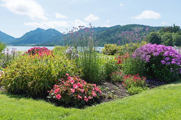 Beautiful Summerly Flowerbed Spa Garden Schliersee Bavarian Landscape Mountains — Φωτογραφία Αρχείου