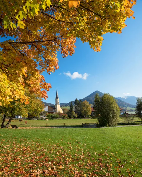 Paisagem Outono Idílica Resort Turístico Schliersee Árvores Bordo Coloridas Vista — Fotografia de Stock