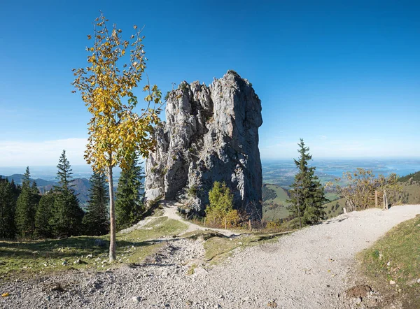 Kletterfelsen Der Kampenwand Herbstbaum Und Blick Auf Den Chiemsee — Stockfoto