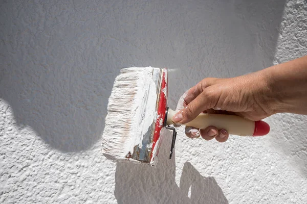 Womans Hand Paint Brush Saturated White Dispersion Paint Renovating Wall — Stock Photo, Image
