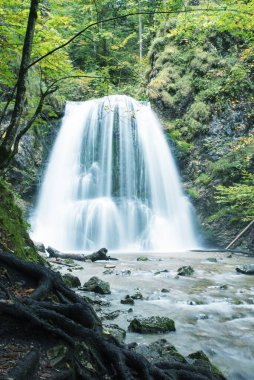 waterfall Josefsthal, long exposure shot, green forest