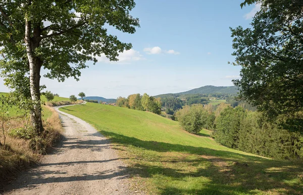 Feldweg Irlseign Bei Viechtach Niederbayerische Landschaft Mit Bäumen Und Grünen — Stockfoto