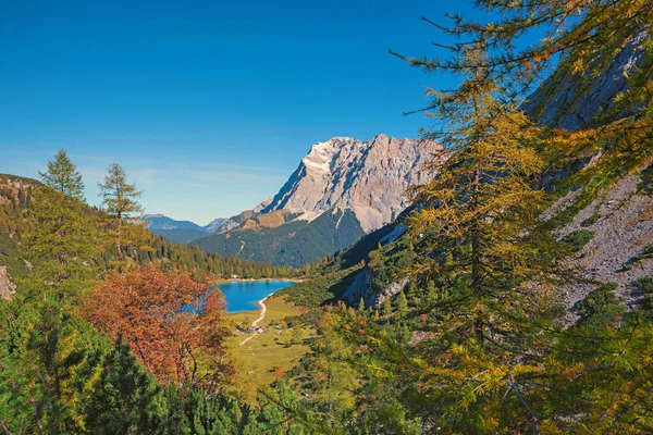 Idyllic Alpine Landscape Lake View Seebensee Larch Trees Forest Autumn — Stockfoto