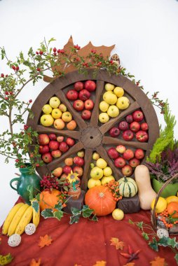 beautiful thanksgiving decoration, wooden wheel filled with apples, rosehip thornlet and several pumpkins