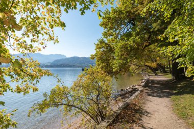 toscanapark Gmunden, lake Traunsee, autumnal colored trees at the lakeside. austrian landscape Salzkammergut