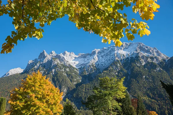 View Autumnal Branches Maple Tree Karwendel Mountains Mittenwald Upper Bavaria — Stockfoto