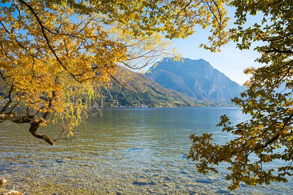 Autumnal Idyll Lake Traunsee Salzkammergut Austria Colorful Branches Traunstein Mountain — ストック写真