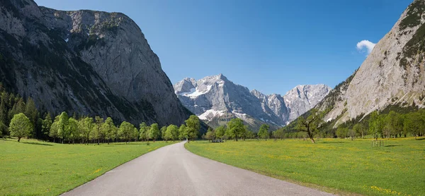 Famous Toll Road Ahornboden Karwendel Alps Springtime Maple Trees Austria — Stock fotografie