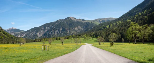 Famous Toll Road Ahornboden Karwendel Alps Springtime Green Pasture Austria — 图库照片