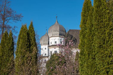 Schwindegg su kalesinin kulesi, thuja ağaçları arasında. Baharın ilk zamanlarında mavi gökyüzü arkaplanı