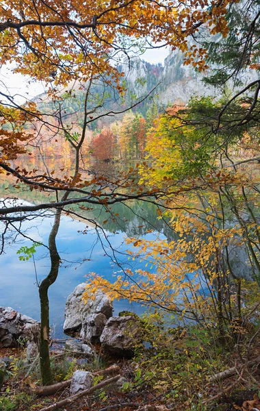 Idílico Paisaje Otoñal Lago Laudachsee Paisaje Austriaco Salzkammergut — Foto de Stock