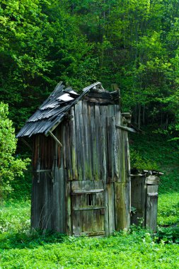 orman içinde ahşap çerçeve