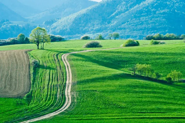 Grüne Landschaft — Stockfoto