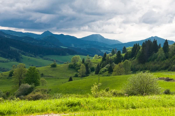 Grüne Landschaft — Stockfoto