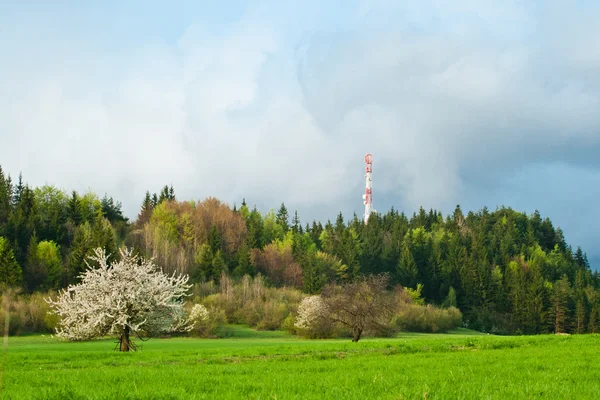 Sender auf dem Feld — Stockfoto