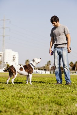 Pitbull ve köpek sahibi