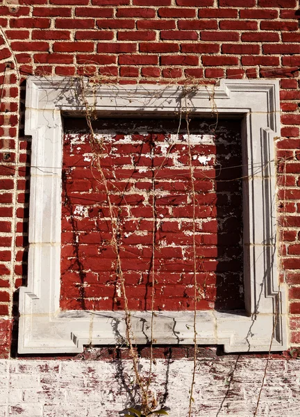 Kırmızı tuğla duvar boş ahşap çerçeve — Stok fotoğraf