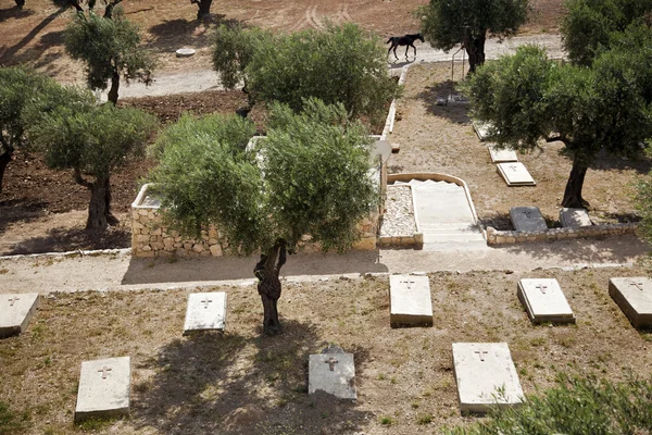 Góra Oliwna chrześcijański cmentarz — Zdjęcie stockowe