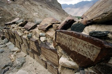 nubra Vadisi ladakh rotada dağın