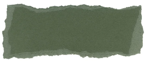 Texture isolée de papier de fibre - Hunter Green XXXXL — Photo