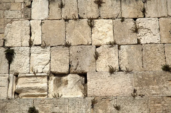 Wailing Wall — Stock Photo, Image