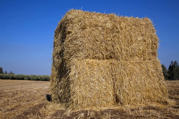 Bale of Hay in a Field — Stock Photo, Image