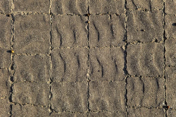 Güneşli gri döşeme arka planı — Stok fotoğraf