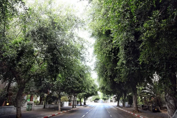 Boş tel-aviv sokak — Stok fotoğraf
