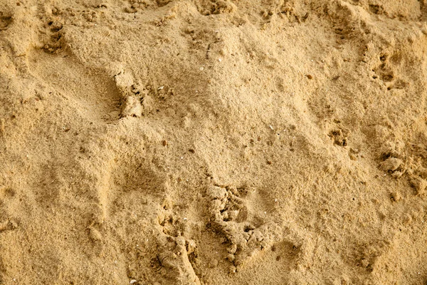 Feuchter Sand — Stockfoto