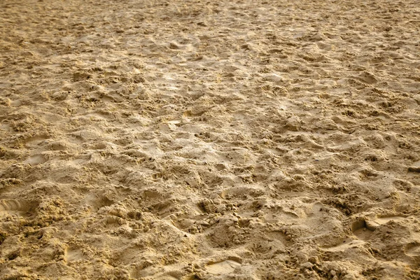 Wilgotnym piasku — Zdjęcie stockowe