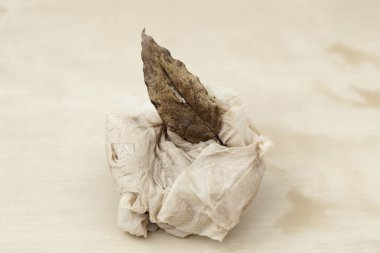 tuvalet, yaprak, zen