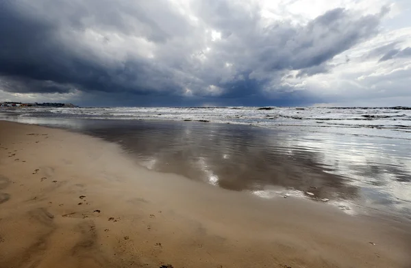 Rastreamentos de animais em Wet Winter Beach — Fotografia de Stock