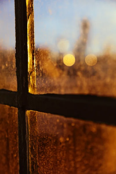 Tarde Sol Iluminación trasera Ventana manchada —  Fotos de Stock