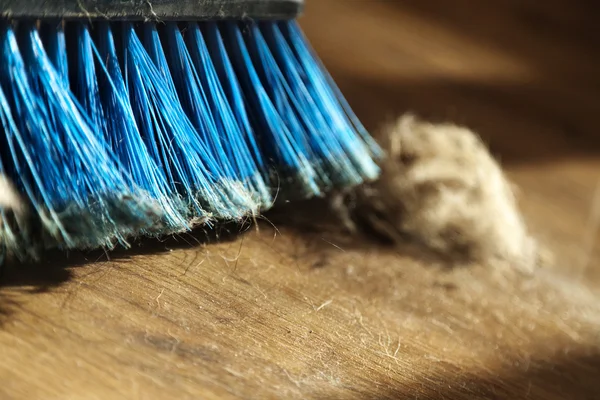 Broom, Dirt and Fur Ball on Parquet Floor — Stock Photo, Image