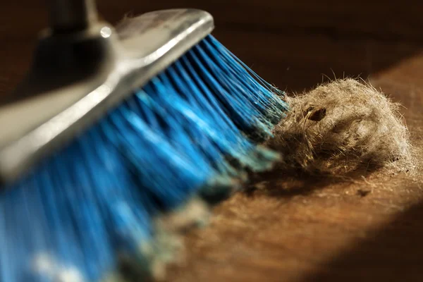 Broom, Dirt and Fur Ball on Parquet Floor — Stock Photo, Image