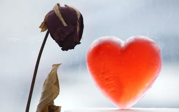 A dry rose and backlit heart — Stock Photo, Image