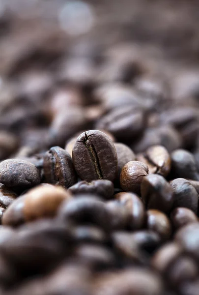 Grains de café - Bokeh — Photo